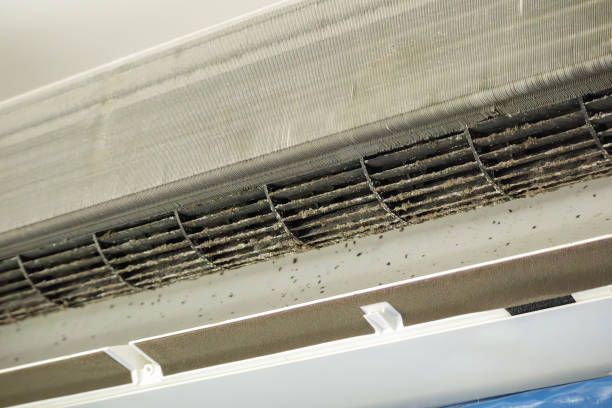 Best HVAC System Cleaning  in Elkhart, IN